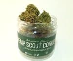 Hemp Scout Cookies 7g – 4-5% CBD Hemp Scout Cookies 7g – 4-5% CBD