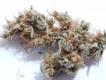Medicuana – CBG One Sušené CBG