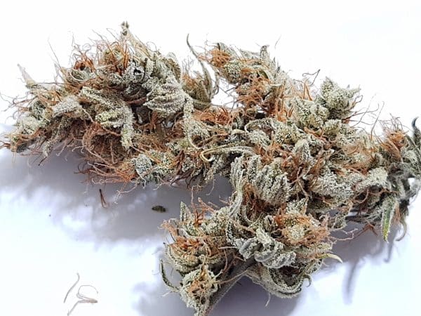 Medicuana – CBG One Sušené CBG