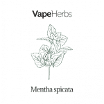 VapeHerbs – Máta klasnatá 30g