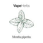 VapeHerbs – Máta peprná 30g