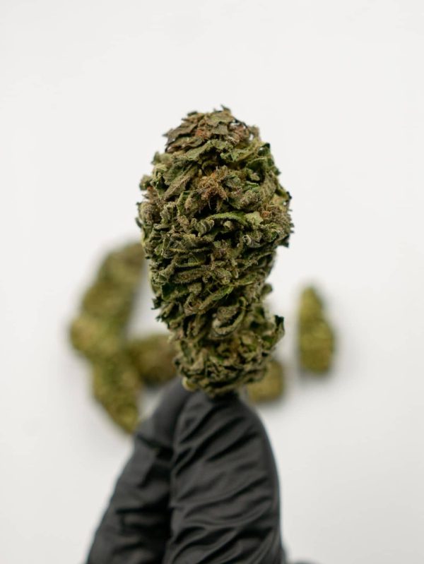 Konopné CBD produkty