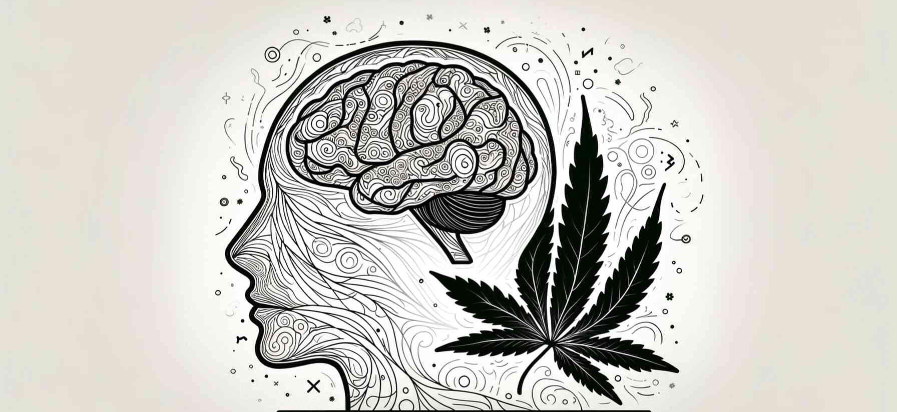 olej cbd dawkowanie nerwica