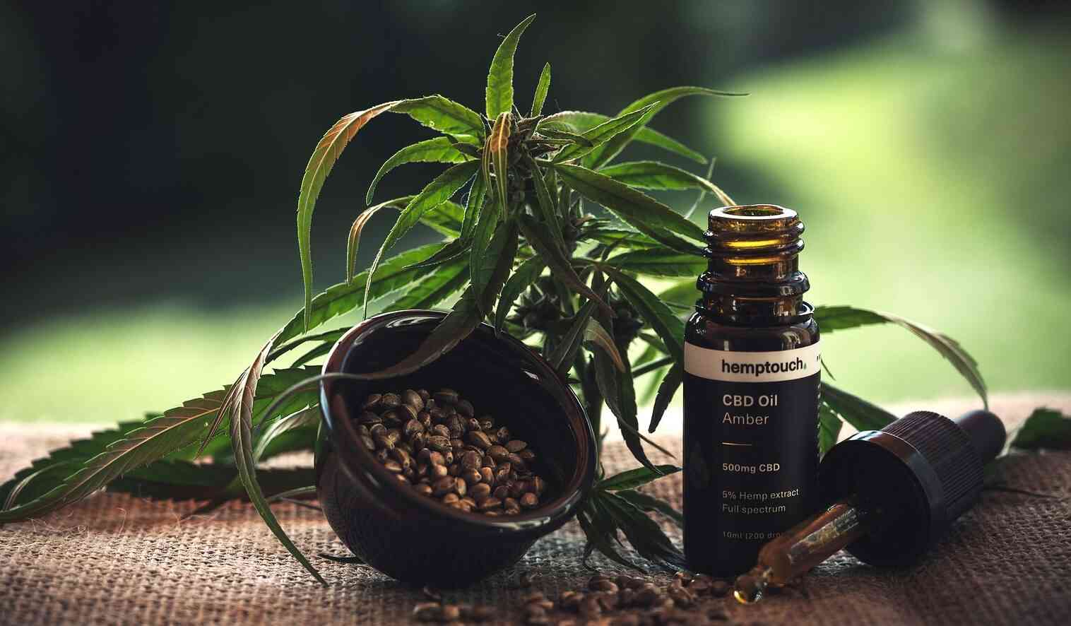mocny susz cbd