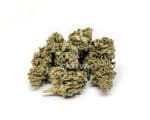 Sativa Poland – Tropical Special Edition 3,5 g CBD Kraut