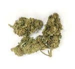 Sativa Poland – Tropical Special Edition 3,5 g CBD Kraut