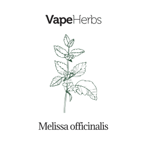 elfbar nachfüll pod läuft aus Magasin aromathérapie, huiles essentielles, huiles CBD Soissons :  phytothérapie main image 0