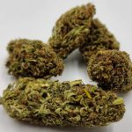 Hanfbuch Kosmos CBD