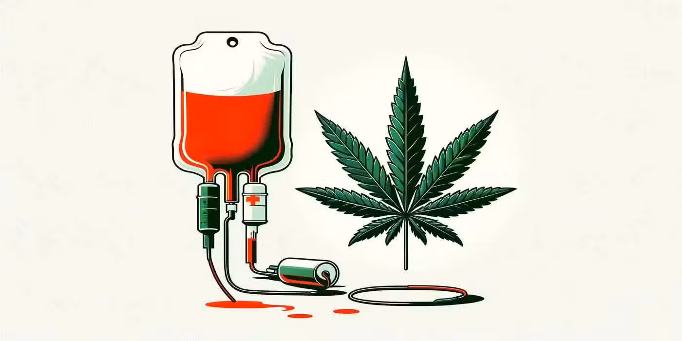 Verenluovuttaja luovutustuolissa - kannabiksen käytön vaikutus verenluovutukseen
