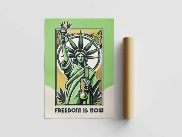 Affiche « Freedom Is Now »