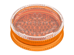 Volcano – grinder XL