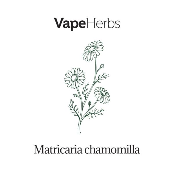 VapeHerbs – Camomilla 30g