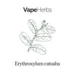 DynaVap – The BB3 – Vaporizzatori Portatili