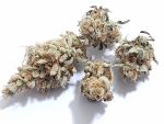 Medicuana – Snow Princess CBG Flower