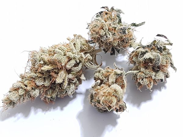 Medicuana – Snow Princess CBG Flower