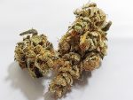 Medicuana – Snow Princess CBG Flower