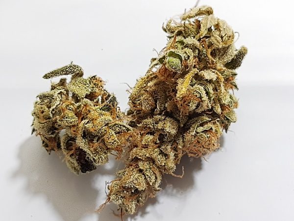 Medicuana – Snow Princess CBG Flower