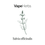 VapeHerbs – Salvia medicinale 30g