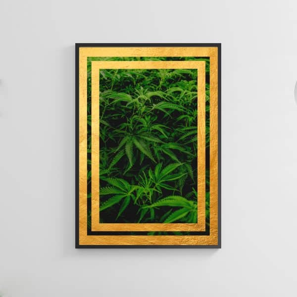 Poster “Farm”