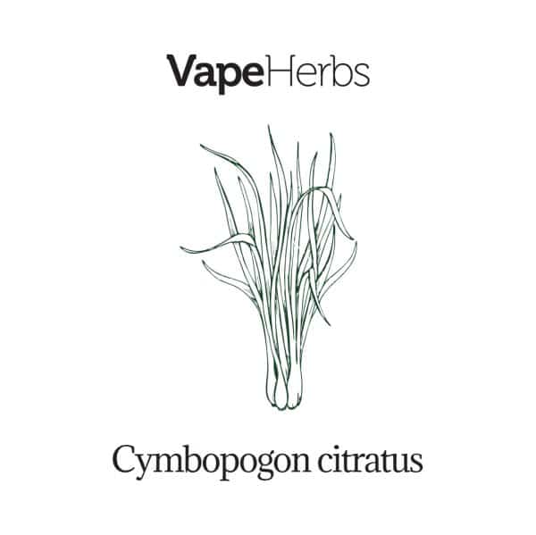 VapeHerbs – Citrinžolė 30g