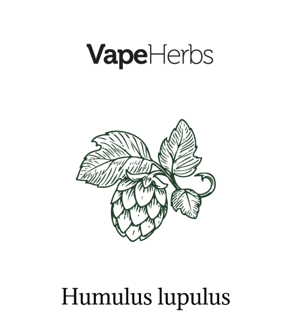 VapeHerbs – Apyniai 30g