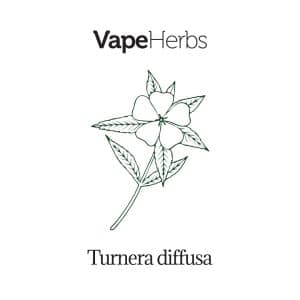 VapeHerbs – Damiana 30g