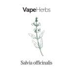 VapeHerbs – Šalavijas 30g