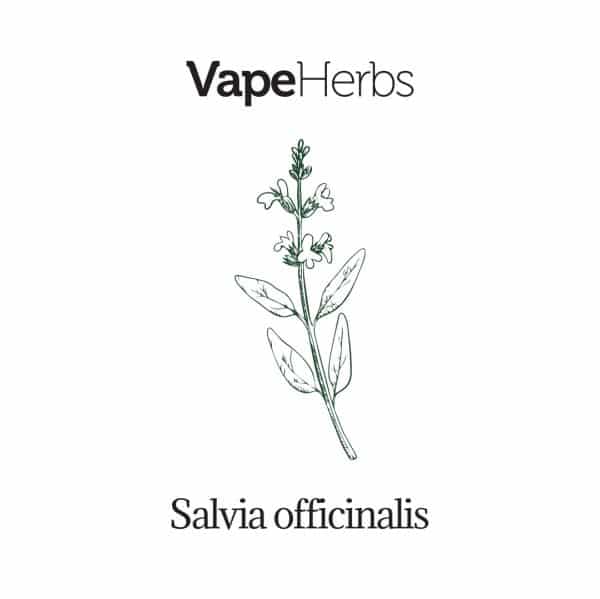 VapeHerbs – Šalavijas 30g