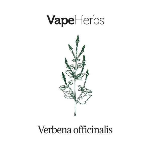 VapeHerbs – Verbena 30g