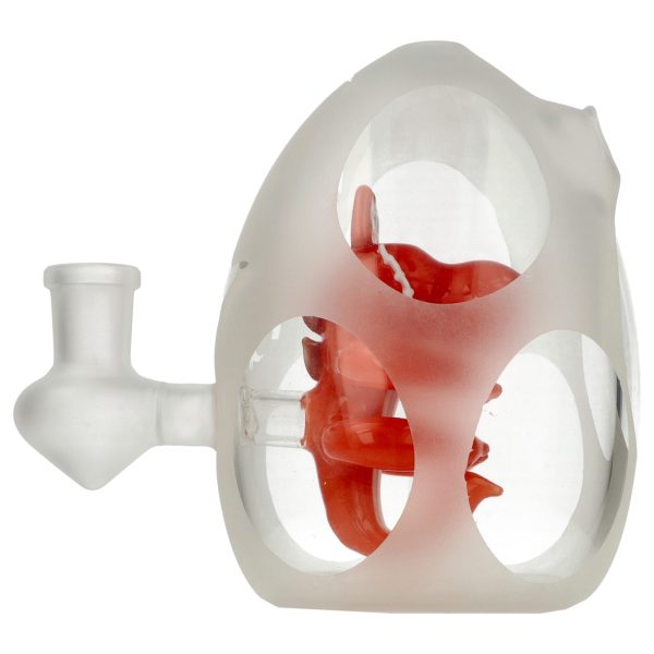 JURRASIC Bong 420VAPE Bongo vaporizatoriui 14,5 mm