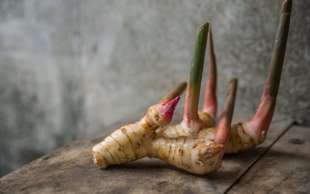Alpinia lekarska