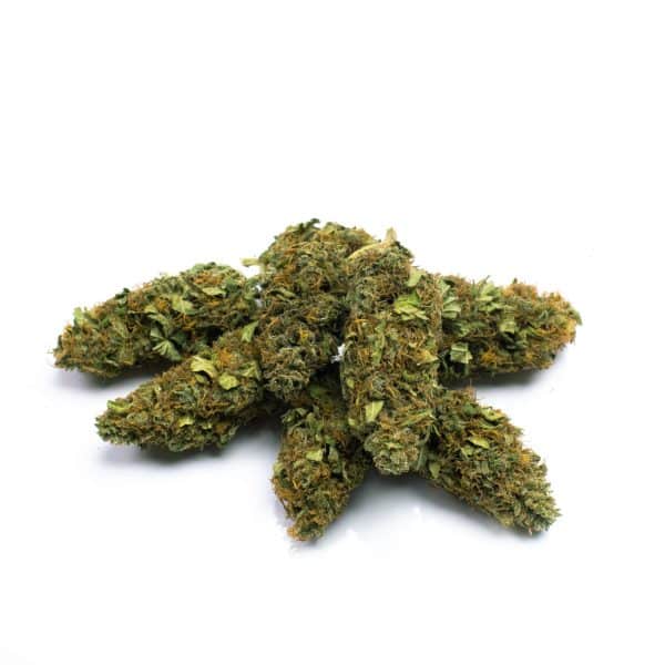 Freedom Farms – Susz CBD GOLD