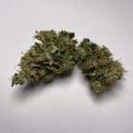 Medicuana – Fluffy Owl Susz CBG