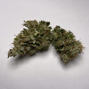 Medicuana – Fluffy Owl Susz CBG