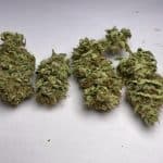 Medicuana – Sunny Sunrise Susz CBG