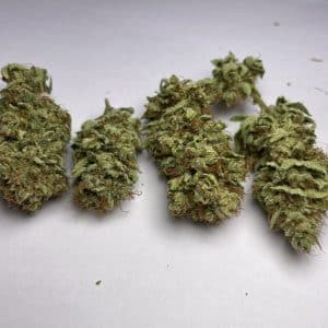 Medicuana – Sunny Sunrise Susz CBG