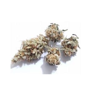 Medicuana – Snow Princess Susz CBG