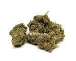 Sativa Poland – Lemon Grass Special Edition 3,5g Susz CBD