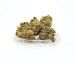 Sativa Poland – Bubbels Susz CBD