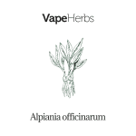 VapeHerbs – Alpinia lekarska 30g – zioła do waporyzacji