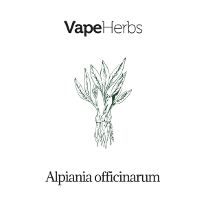 VapeHerbs – Alpinia lekarska 30g – zioła do waporyzacji