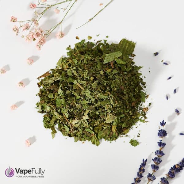 VapeHerbs – Babka lancetowata 30g – zioła do waporyzacji
