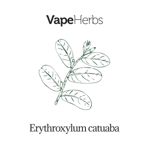VapeHerbs – Catuaba 30g – zioła do waporyzacji