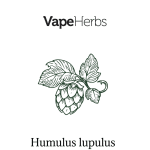 VapeHerbs – Chmiel 30g – zioła do waporyzacji