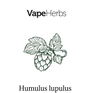 VapeHerbs – Chmiel 30g – zioła do waporyzacji
