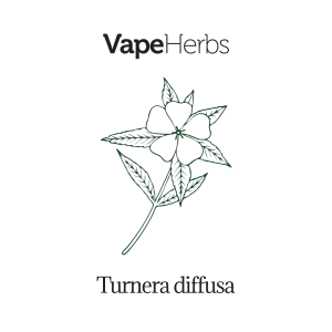 VapeHerbs – Damiana 30g – zioła do waporyzacji