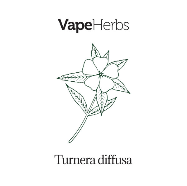 VapeHerbs – Damiana 30g – zioła do waporyzacji
