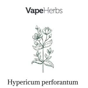 VapeHerbs – Dziurawiec 30g – zioła do waporyzacji