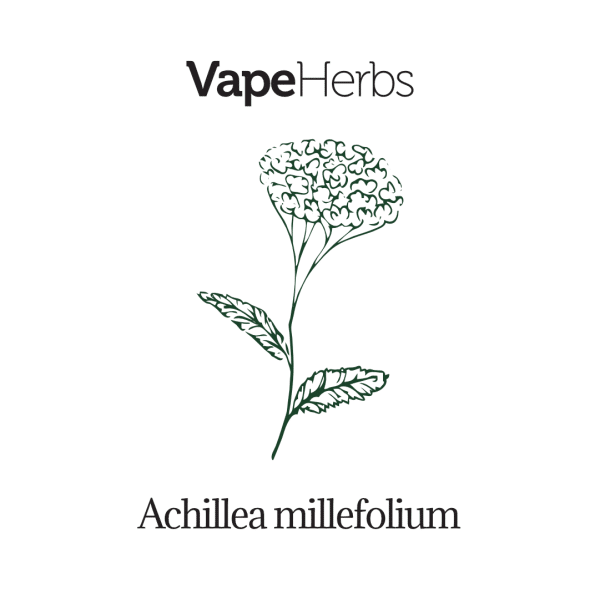 VapeHerbs – Krwawnik 30g – zioła do waporyzacji