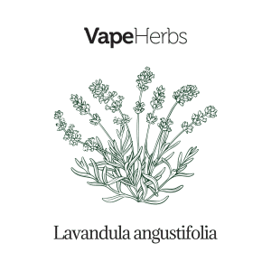 VapeHerbs – Lawenda 30g – zioła do waporyzacji